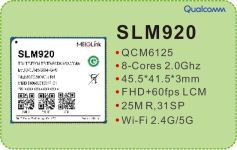 MeiG SLM920