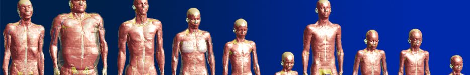 zurich med tech virtual population